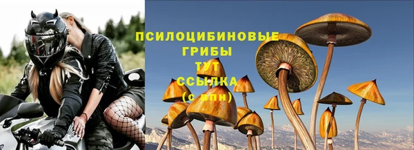 гидропоника Балабаново